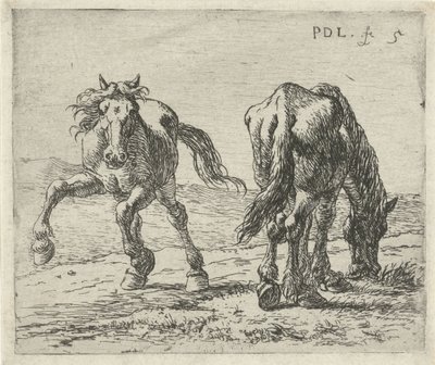Deux chevaux dans un pré - Pieter Bodding van Laer