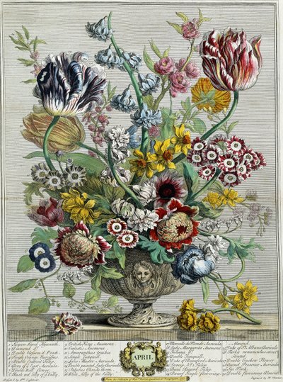 Avril, de "Douze mois de fleurs" - Pieter Casteels
