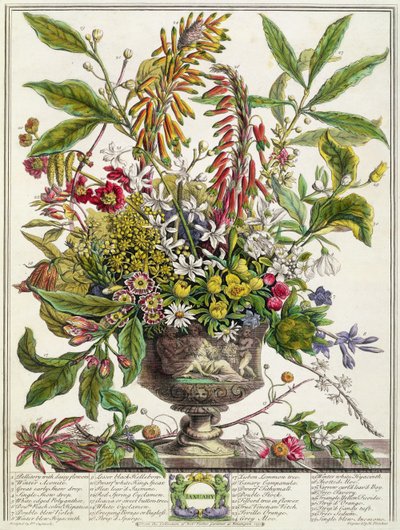 Janvier, de 