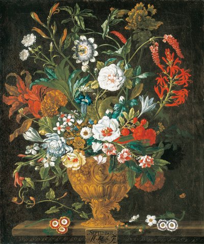 Septembre, des Douze Mois de Fleurs, un calendrier floral de natures mortes - Pieter Casteels