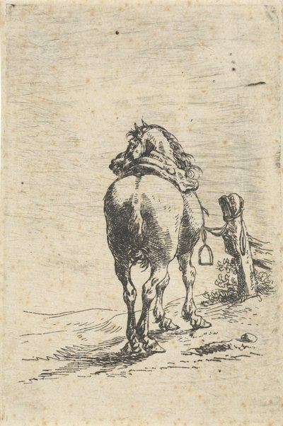 Cheval sellé attaché à un poteau - Pieter Cornelisz. Verbeeck