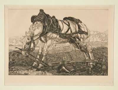 Cheval de travail - Pieter Dupont