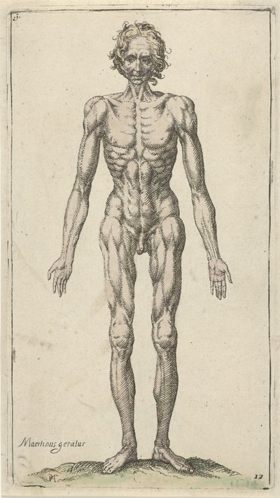 Étude d