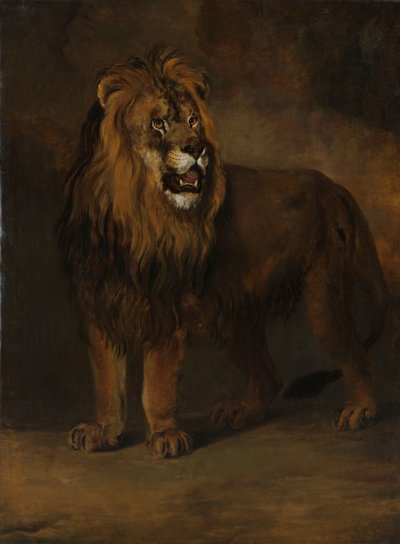 Un lion de la ménagerie du roi Louis Napoléon, 1808 - Pieter Gerardus van Os