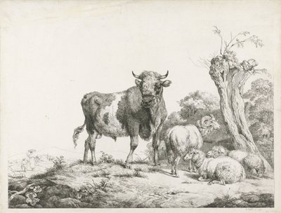 Un taureau, un bélier et deux moutons couchés près d