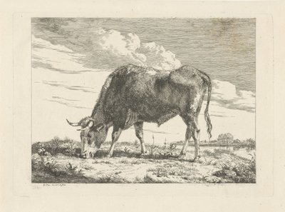 Vache broutant - Pieter Gerardus van Os