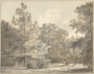 Cerfs dans une forêt - Pieter Gerardus van Os