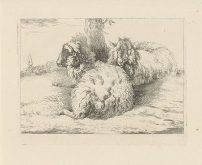 Moutons couchés - Pieter Gerardus van Os