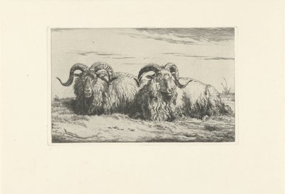 Deux béliers couchés - Pieter Gerardus van Os