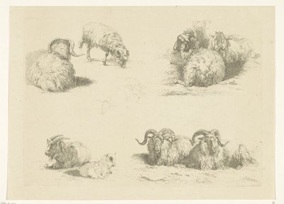 Quatre scènes avec des moutons et des chèvres - Pieter Gerardus van Os