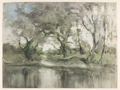 Arbres au bord de l