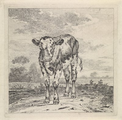 Paysage avec veau - Pieter Janson