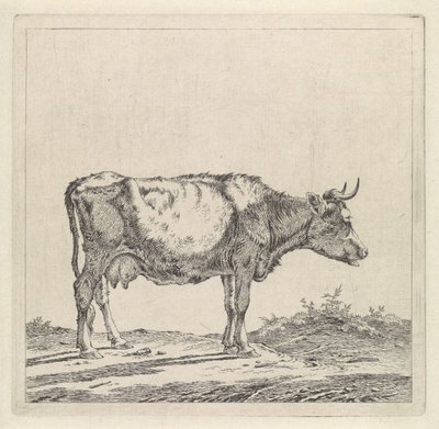Paysage avec vache au bord de l