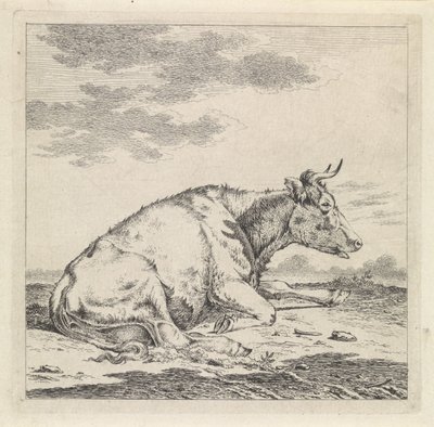 Vache couchée, vers la droite - Pieter Janson