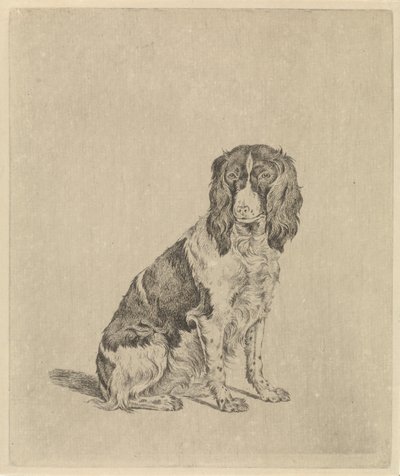 Chien de chasse assis - Pieter Janson