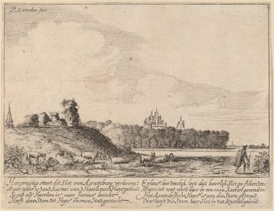 Ruines du château d