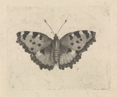 Papillon - Pieter Lyonet