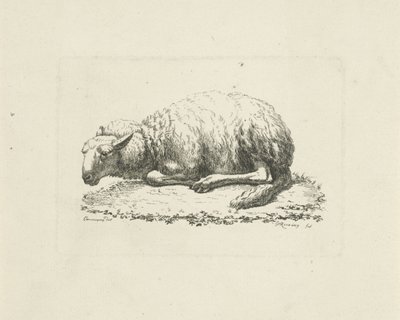 Mouton couché - Pieter Roosing