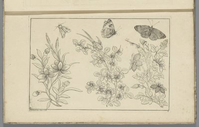 Trois branches de fleurs et trois papillons (Fleurs et insectes chinois) - Pieter Schenk (II)