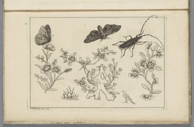 Trois branches de fleurs avec oiseaux, papillons et un insecte - Pieter Schenk (II)
