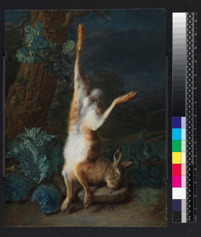 Un lièvre mort, avant 1782 - Pieter Snyers