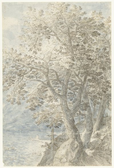 Arbres près d