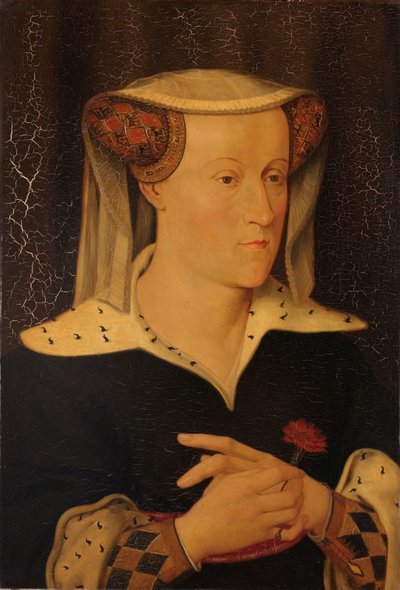 Jacoba de Bavière (1401-1436), comtesse de Hollande et de Zélande - Pieter Willem Sebes