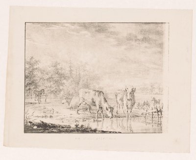 Vaches près de l