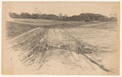 Chemin de campagne à travers le champ ouvert - Pieter de Josselin