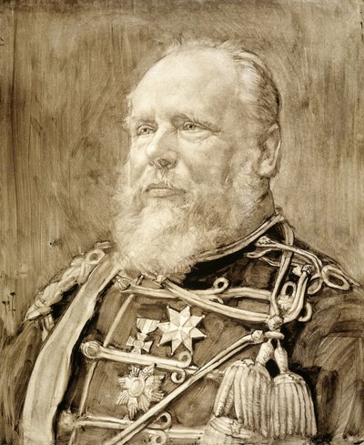 Portrait de Guillaume III, roi des Pays-Bas - Pieter de Josselin