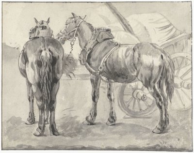 Deux chevaux de trait près d