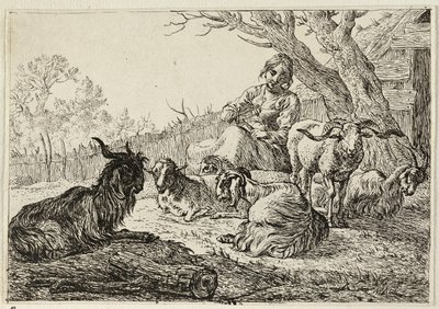Sheperdess parmi les chèvres et les moutons - Pieter van Laer