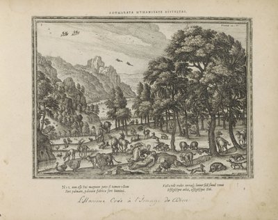 Création de l