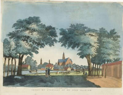 Vue de Haarlem depuis Overveen - Pieter van der Meulen
