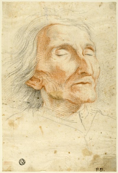 Visage d