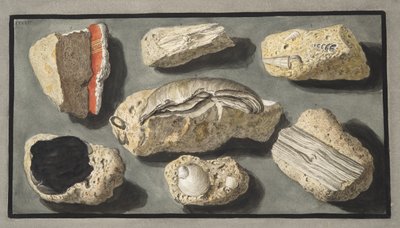 Spécimens de tuf trouvés dans et autour d