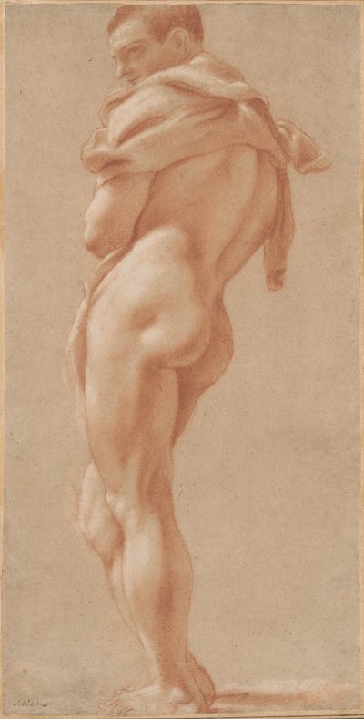 Homme nu debout vu de dos - Pietro Faccini