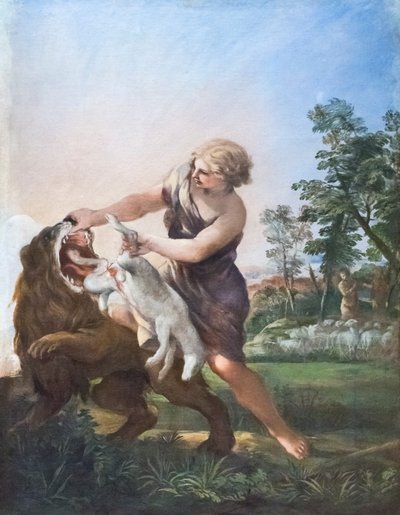 David tuant le lion - Pietro da (1596 1669) Cortona