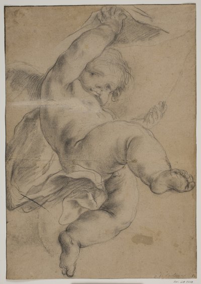Putto volant soulevant un rideau - Pietro da Cortona