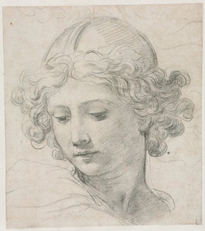Étude pour la tête de Saint Michel, 1633 - Pietro da Cortona