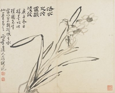 Paysages, Fleurs et Oiseaux : Narcisse, Dynastie Qing - Luo Ping
