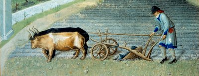 Mars : neige, travaux agricoles, paysan labourant un champ (détail) - Pol de Limbourg