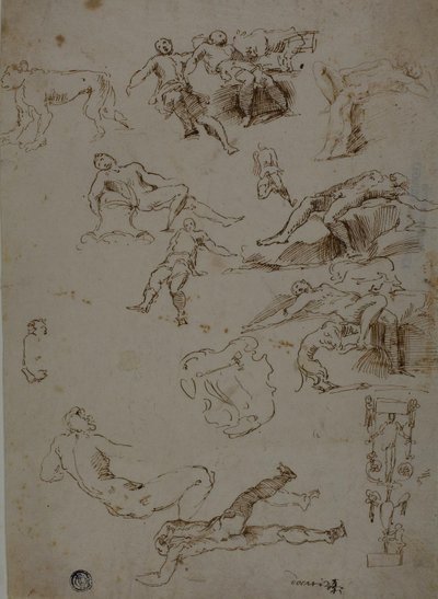 Esquisses de nus masculins, animaux et détails ornementaux - Polidoro da Caravaggio