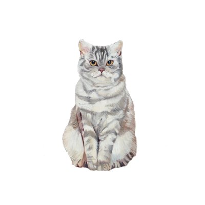 Selkirk Rex, 2014 (aquarelle et gouache sur papier) - Polly Horner