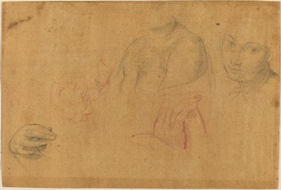 Esquisses de têtes et de mains - Pompeo Batoni