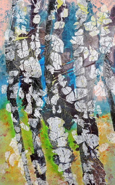 Les forêts de bouleaux aux couleurs éclatantes - Poonam Choudhary