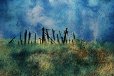 - Porter Thomas
