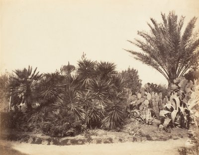Jardin Pincian, Rome - Possibly by Jane Martha St. John.