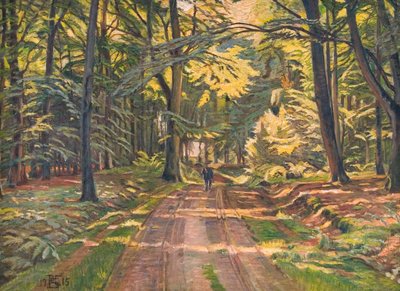 Chemin forestier près de Dyrnæs - Poul S. Christiansen