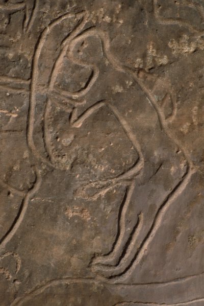 Figure humaine et tête de taureau (gravure rupestre) - Prehistoric